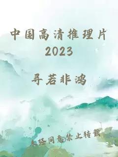 中国高清推理片2023