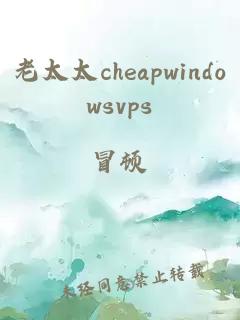 老太太cheapwindowsvps