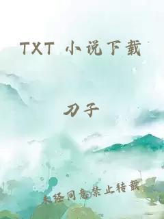 TXT 小说下载