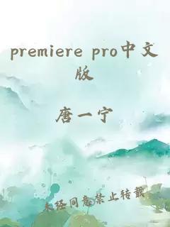 premiere pro中文版